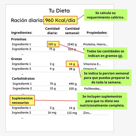 Dieta de soporte articular