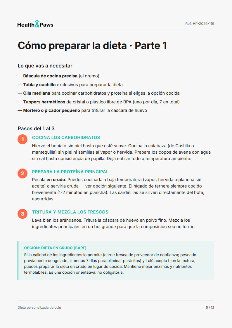 Página 5 del plan
