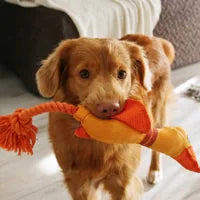 Perro de Lucía García