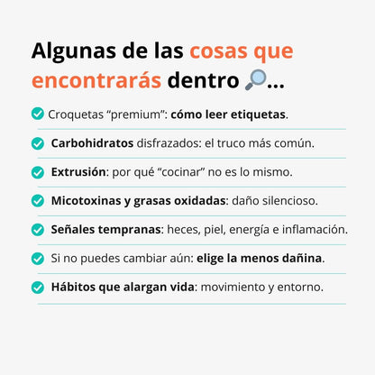 El Secreto del Perro Más Longevo