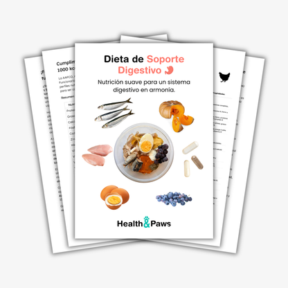 Dieta de soporte digestivo