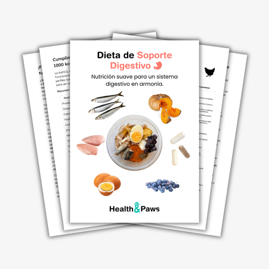 Dieta de soporte digestivo