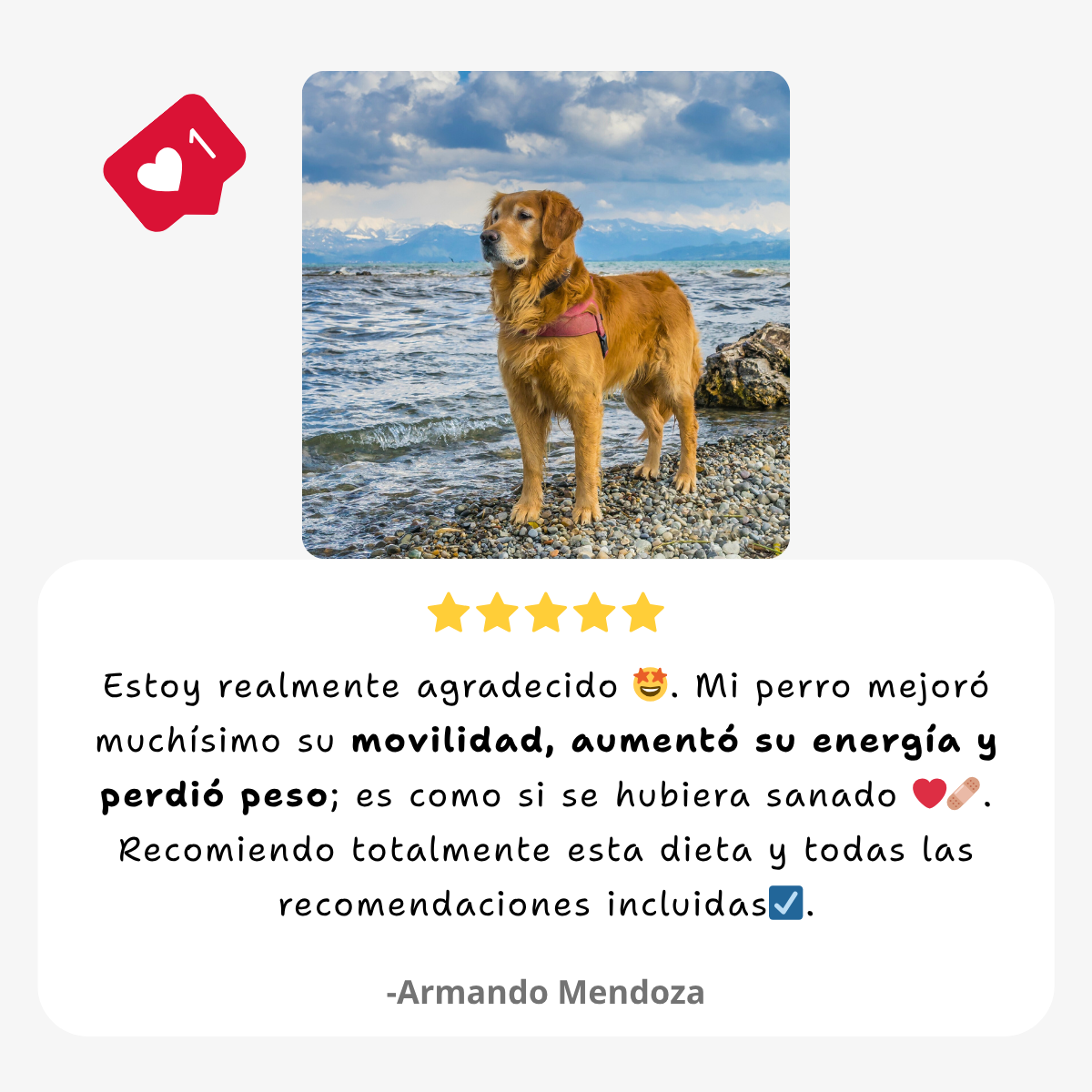 Dieta de soporte articular