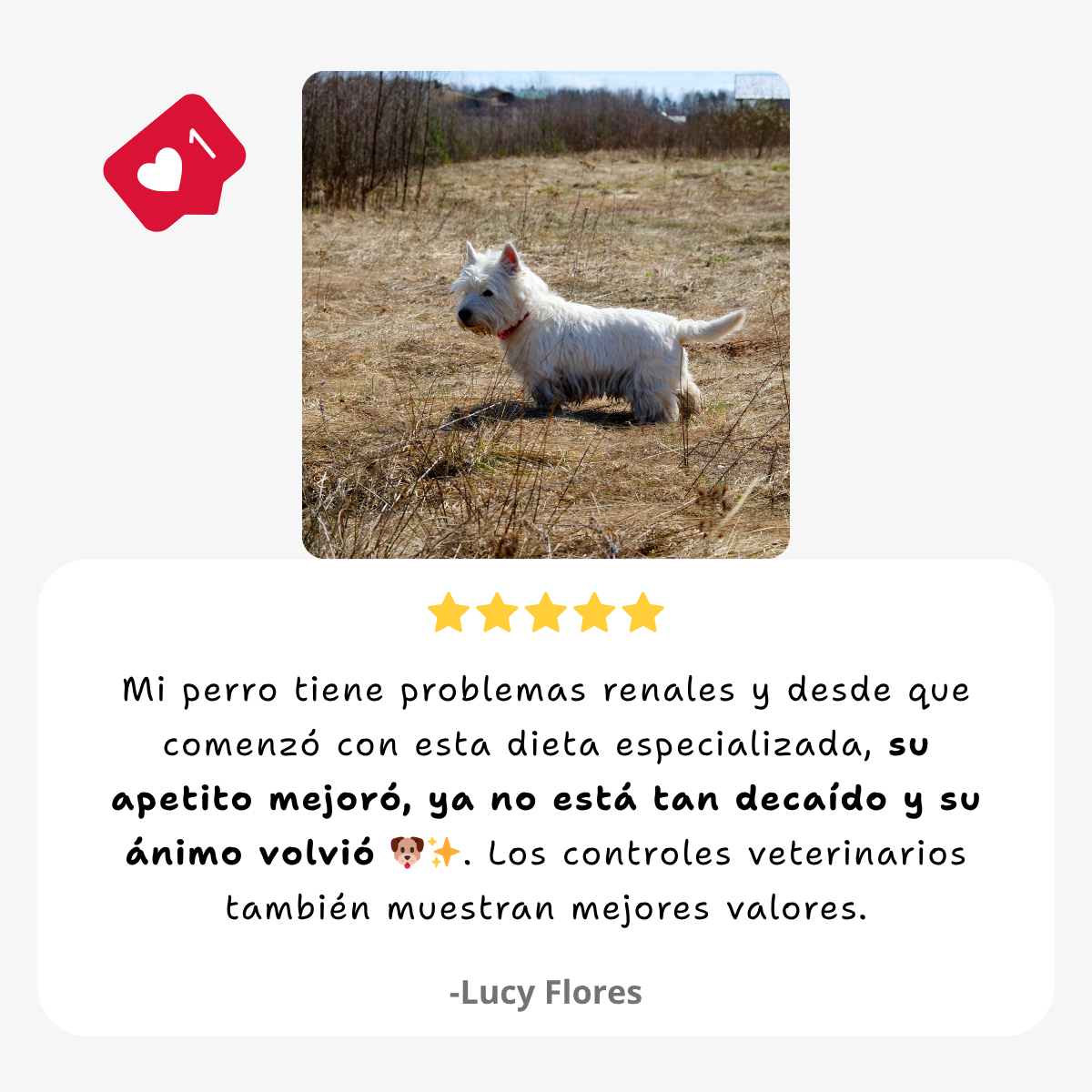 Dieta de soporte renal