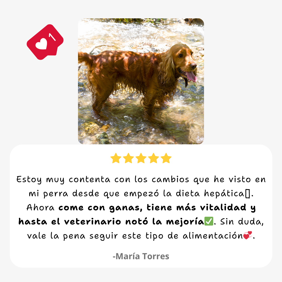 Dieta de soporte hepático