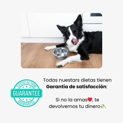 Dieta de longevidad