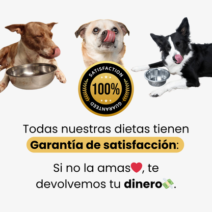 Dieta de soporte hepático