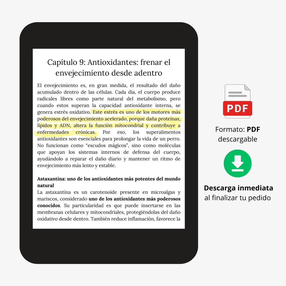Superalimentos para la Longevidad Canina