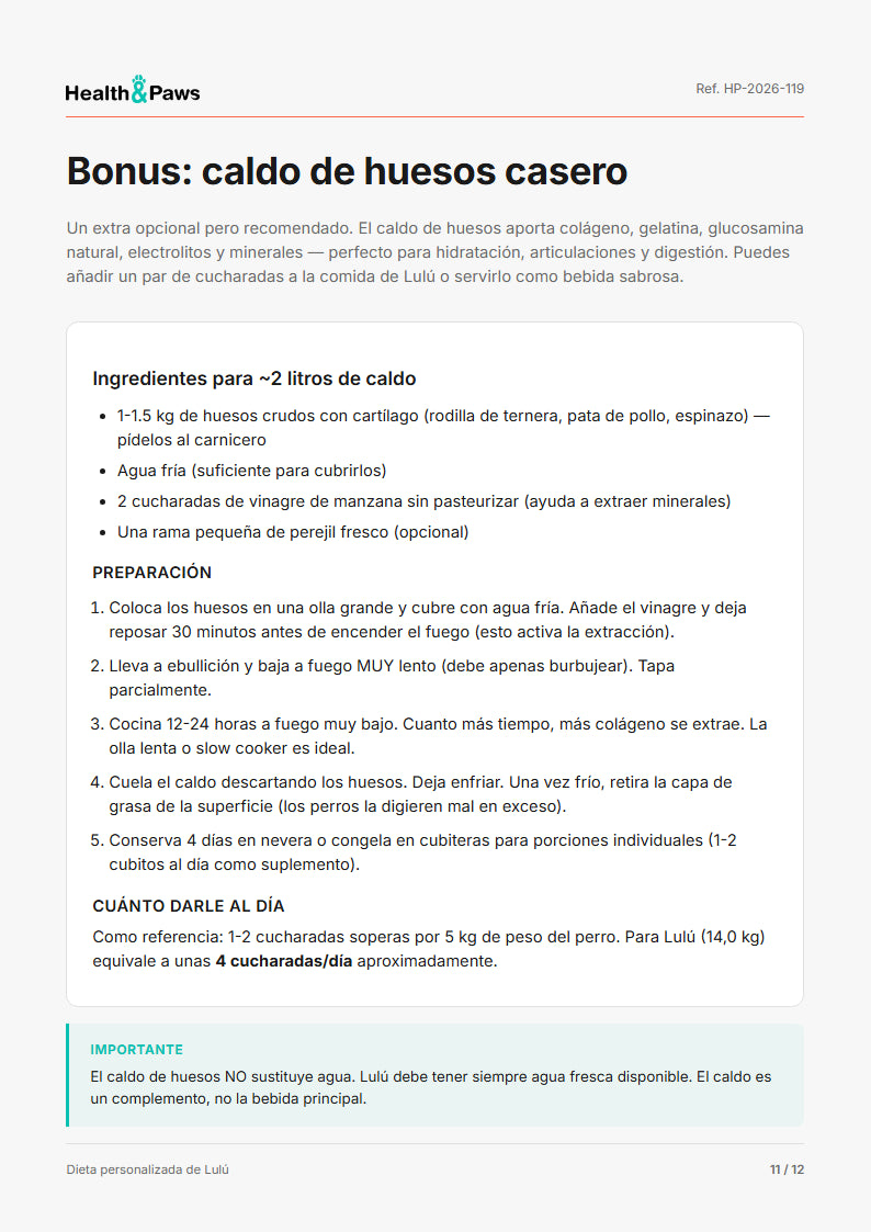 Página 11 del plan