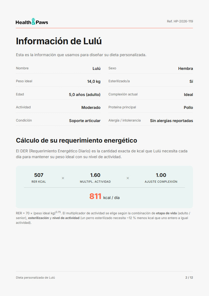 Página 2 del plan
