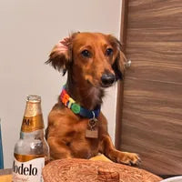 Toby, perro de Cristina Ruiz